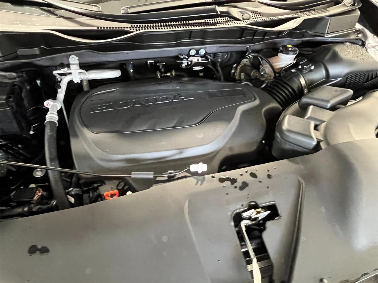 2025 Honda Odyssey EX-L Alexandria VA