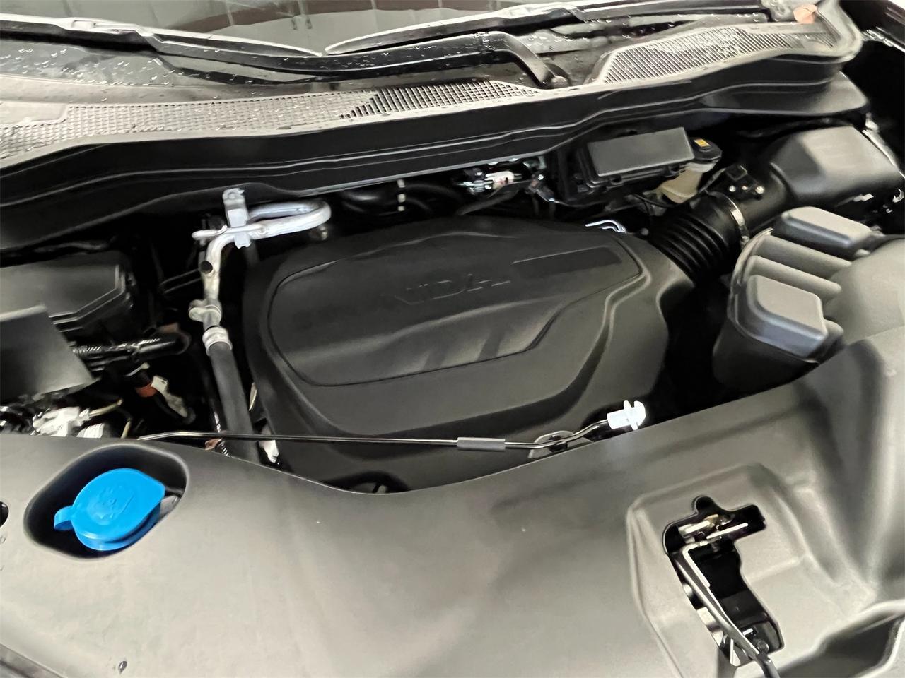 2025 Honda Passport TrailSport Alexandria VA