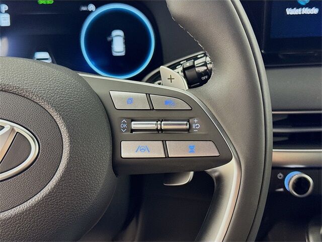 2025 Hyundai Palisade Calligraphy Night Edition Quincy MA