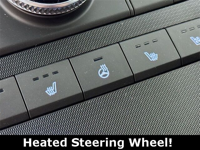 2025 Hyundai Palisade Calligraphy Night Edition Quincy MA