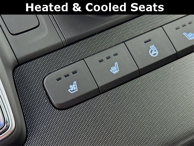 2025 Hyundai Palisade Calligraphy Night Edition Quincy MA