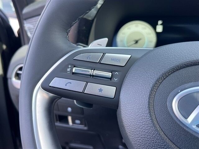 2025 Hyundai Palisade Calligraphy Night Edition Waldorf MD