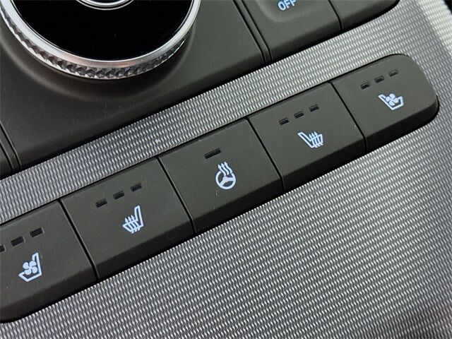 2025 Hyundai Palisade Calligraphy Quincy MA