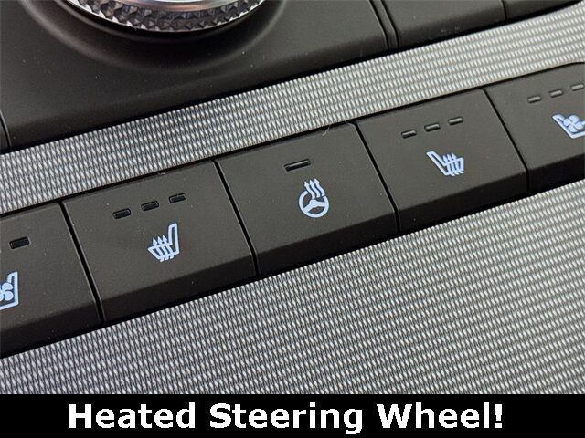 2025 Hyundai Palisade Calligraphy Quincy MA