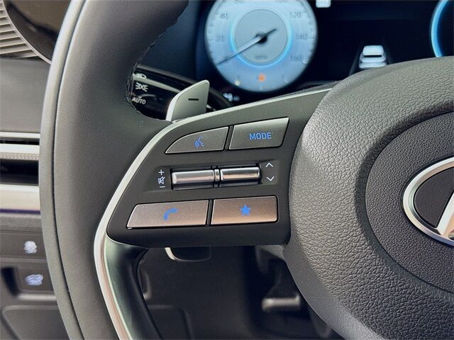 2025 Hyundai Palisade Calligraphy Quincy MA