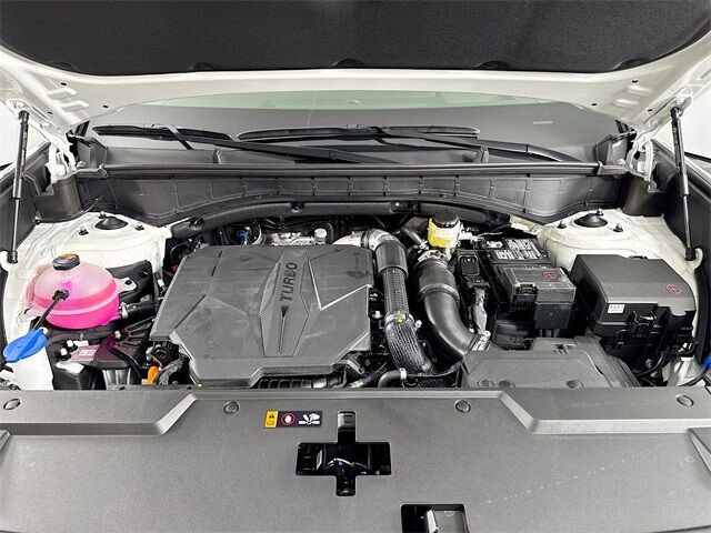 2025 Hyundai Santa Fe Calligraphy Quincy MA