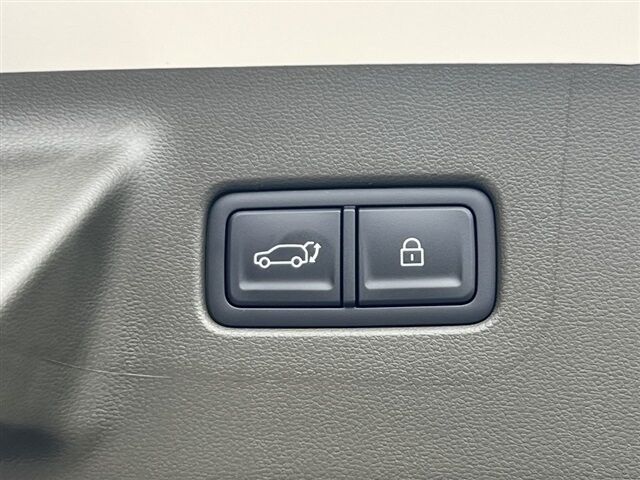 2025 Hyundai Santa Fe Hybrid Calligraphy Waldorf MD