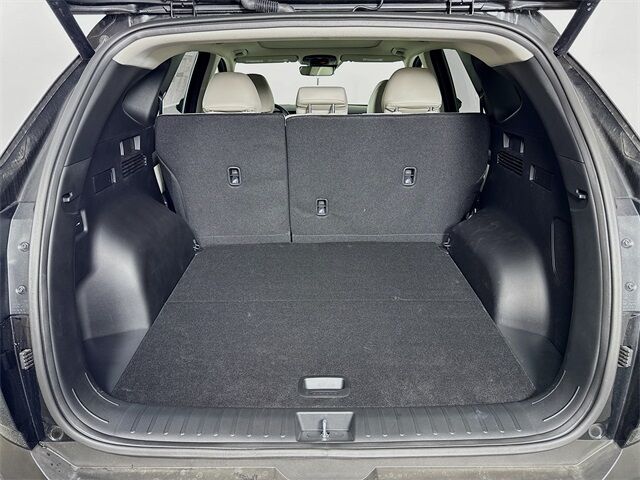 2025 Hyundai Tucson Limited Quincy MA