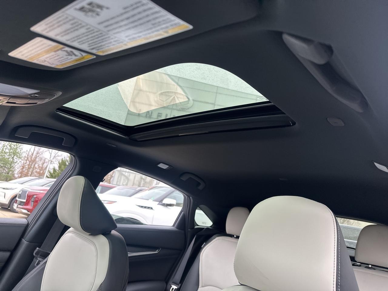 2025 INFINITI QX55 LUXE Chantilly VA