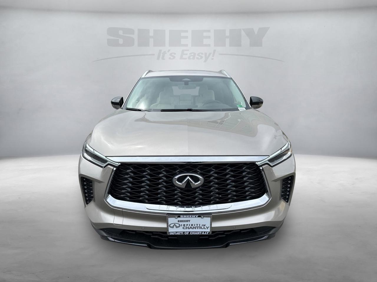 2025 INFINITI QX60 LUXE Chantilly VA