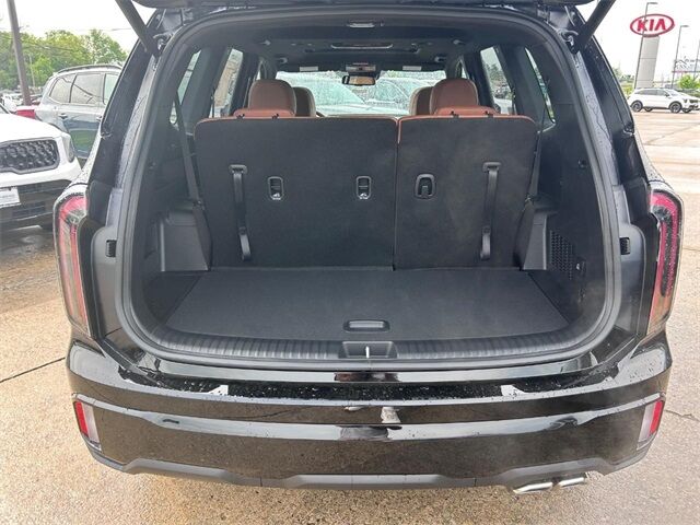 2025 Kia Telluride SX Cape Girardeau MO