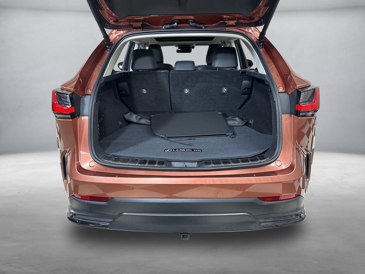 2025 Lexus NX 350 Luxury Annapolis MD