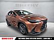 2025 Lexus NX 350 Luxury