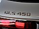 2025 Mercedes-Benz GLS GLS 450 Merriam KS