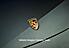 2025 Porsche Macan  Pompano Beach FL