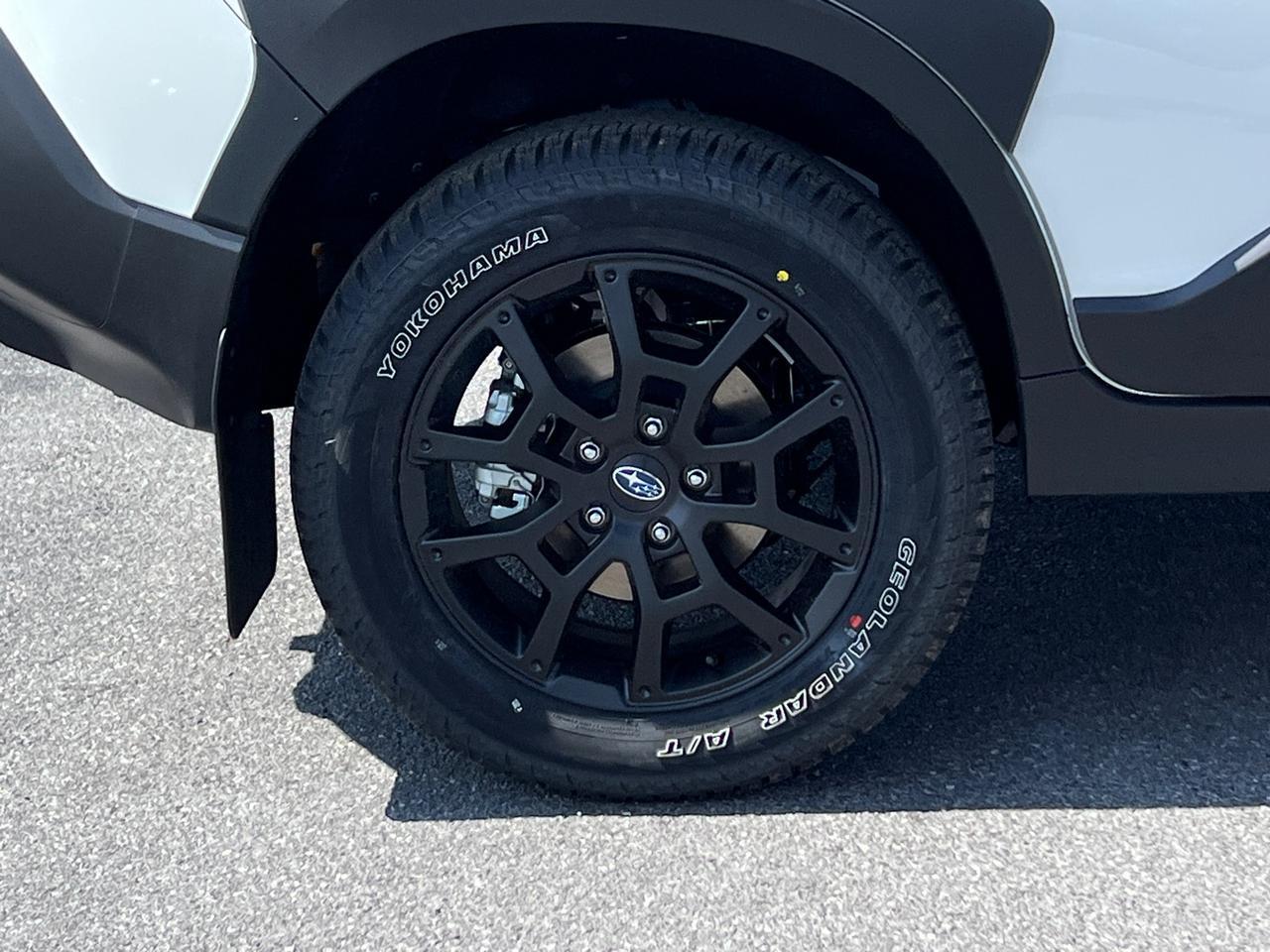 2025 Subaru Crosstrek Wilderness Hagerstown MD